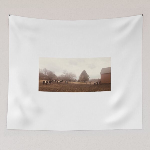 Item preview, Belted Galloway cows in Ellington, CT designed and sold by Paintingladycat.