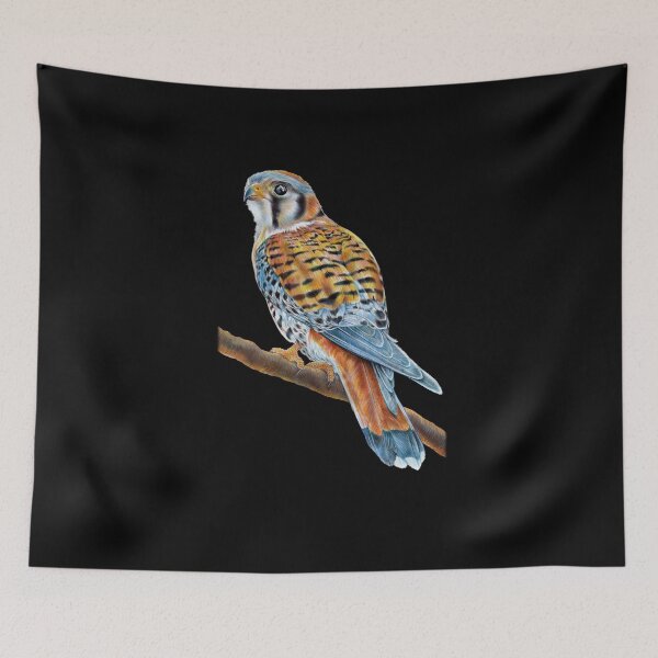 Item preview, American Kestrel designed and sold by TimJeffsArt.