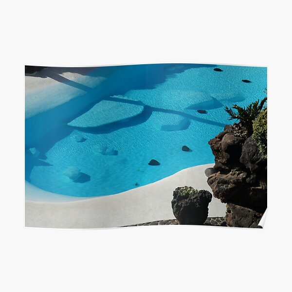 jameos del agua Poster