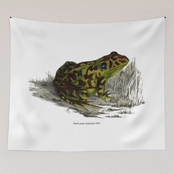 Artikelvorschau, Frosch Illustration entworfen und verkauft von yourlocalltyler.
