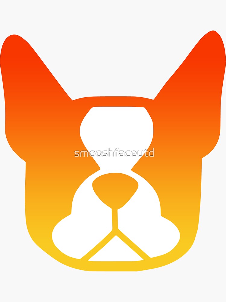 Orange best sale boston terrier