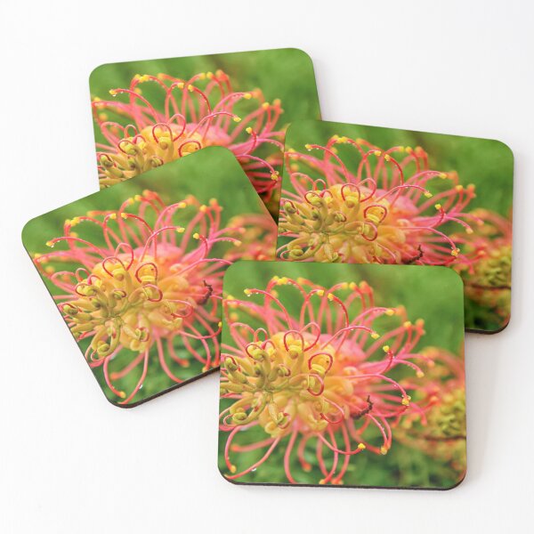 Item preview, The very beautiful Grevillea flower  designed and sold by Brent Randall.