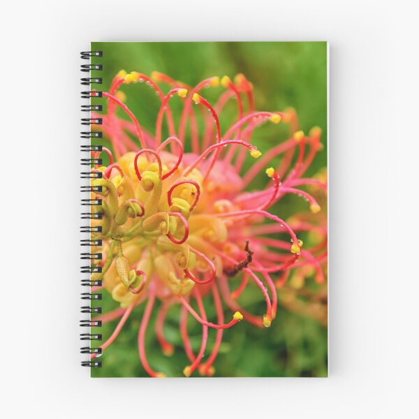 Item preview, The very beautiful Grevillea flower  designed and sold by Brent Randall.