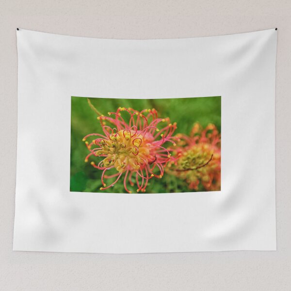 Item preview, The very beautiful Grevillea flower  designed and sold by Brent Randall.