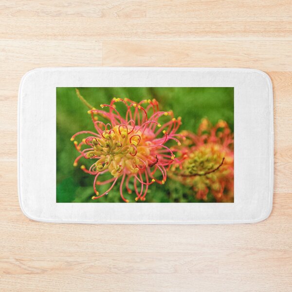 Item preview, The very beautiful Grevillea flower  designed and sold by Brent Randall.