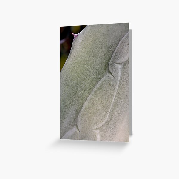 spiky delicacy Greeting Card