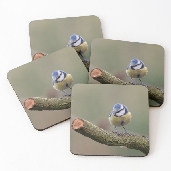 Item preview, tit azul designed and sold by Nicole W..