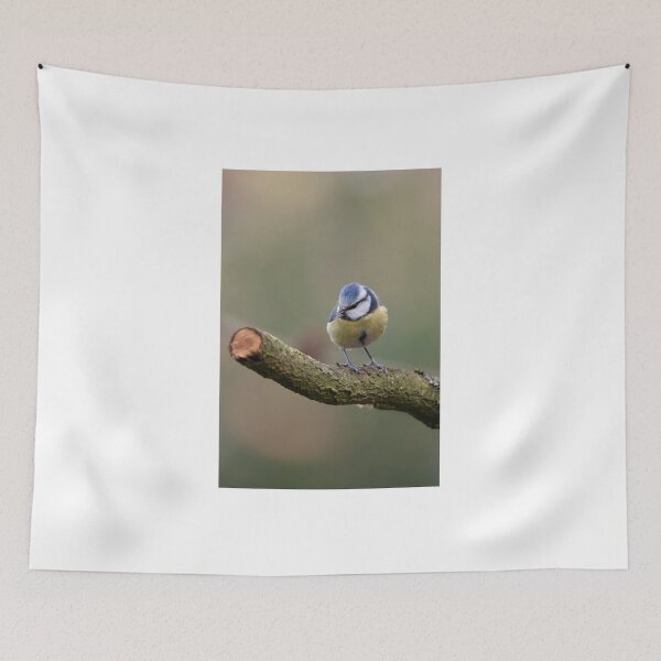 Item preview, blue tit designed and sold by Nicole W..