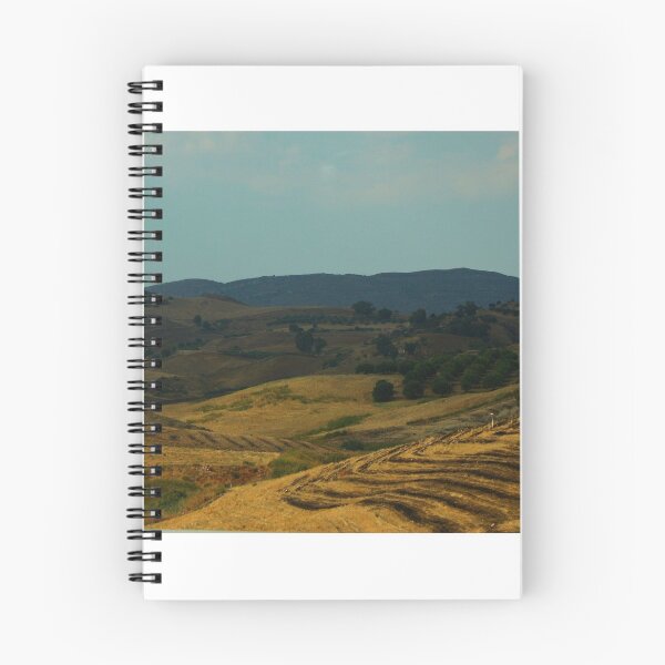 Item preview, Sicilian Palette. Central Sicily. 2011 designed and sold by Igor Pozdnyakov.