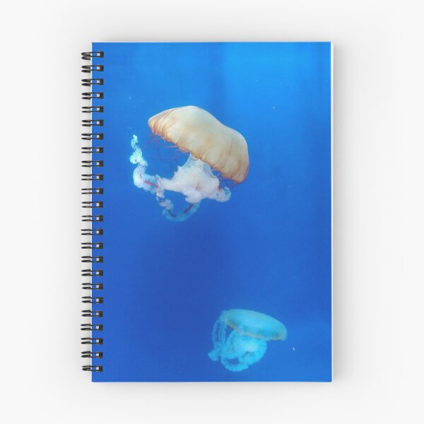 Item preview, Jellyfish designed and sold by CreativeWorld96.