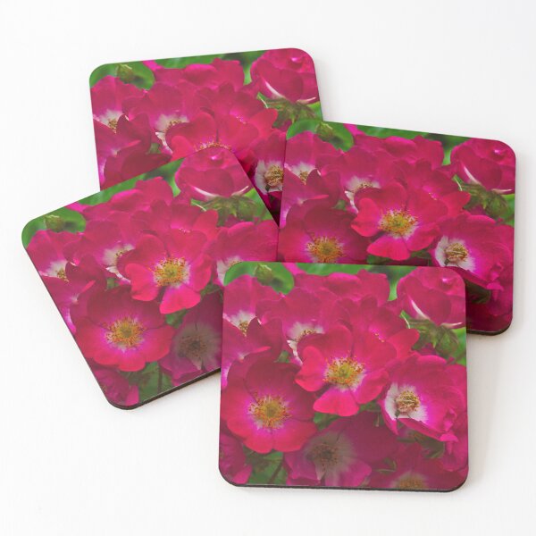 Item preview, A Red And White Landscape Rose designed and sold by Jason Gilbert.