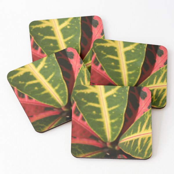 Item preview, Croton Plant Colorful Leaves Tropical designed and sold by lyndseyart.