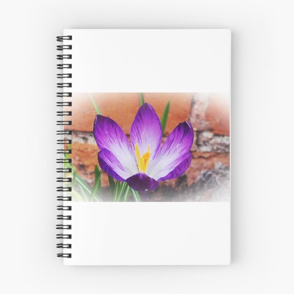 Item preview, Purple Crocus   ...........Lyme Dorset UK designed and sold by lynn carter.