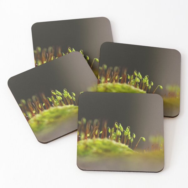 Item preview, Miniature landscape designed and sold by GreyFeatherPhot.