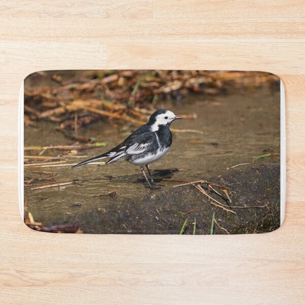 Item preview, Pied wagtail designed and sold by GreyFeatherPhot.