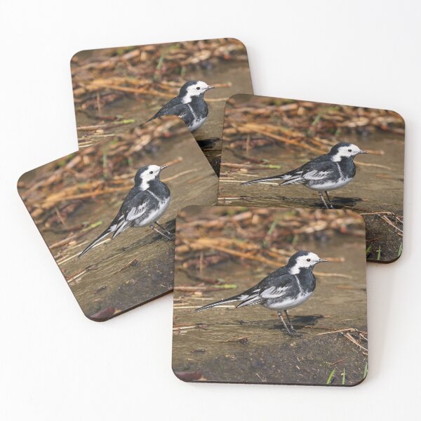 Item preview, Pied wagtail designed and sold by GreyFeatherPhot.