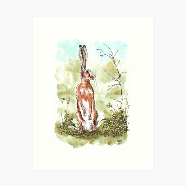 Hare Searched Everywhere - Hare on hind legs watercolour Art Print