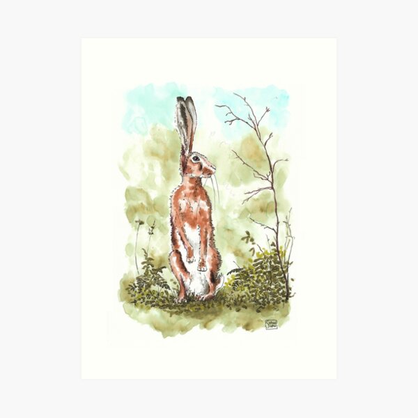 Hare Searched Everywhere - Hare on hind legs watercolour Art Print