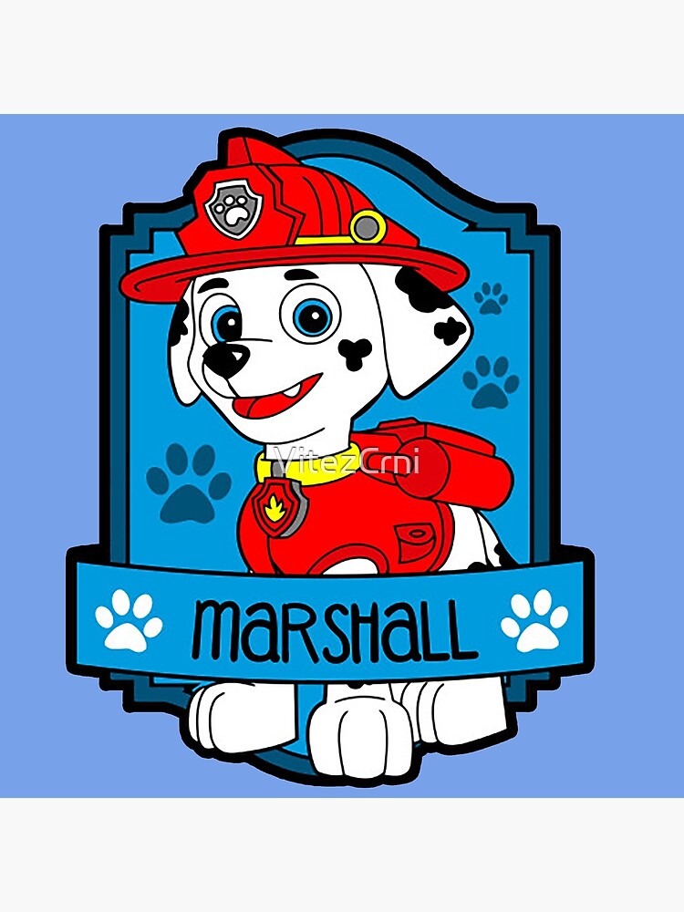Marshall Patrulla Canina | Chapa