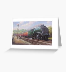 Mallard on the Elizabethan Greeting Card