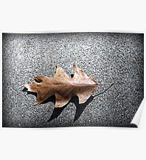 Leaf On The Ground Poster