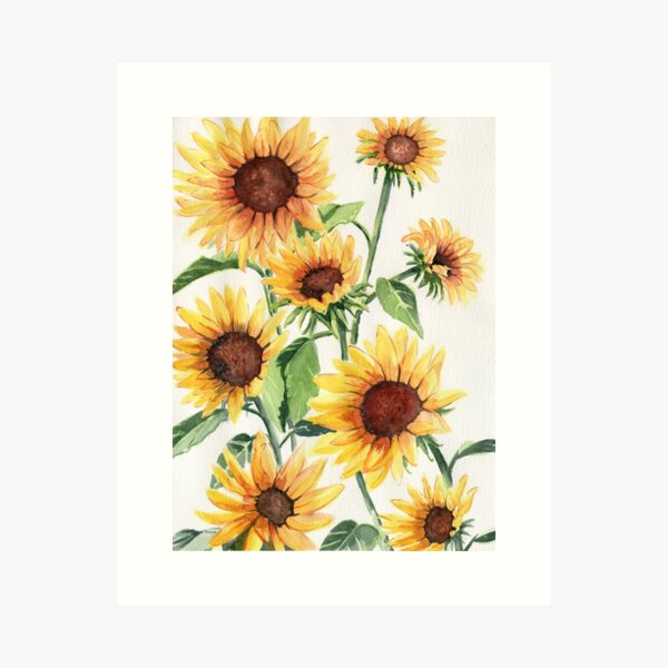 Sunflowers Art Print
