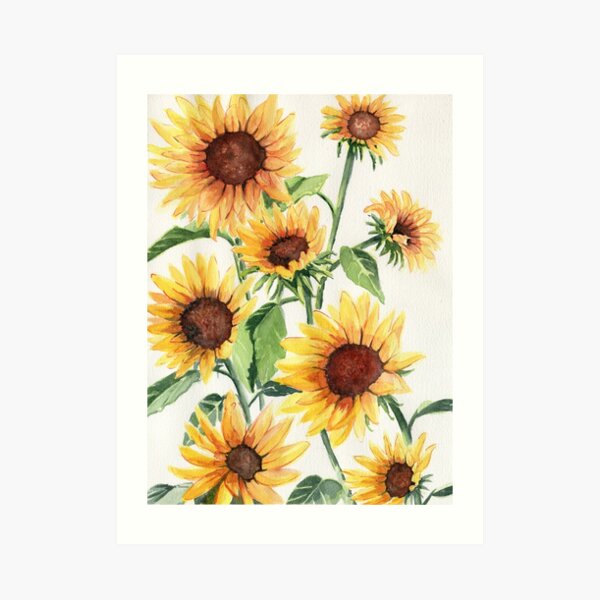 Sunflowers Art Print