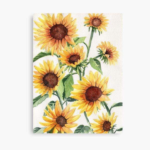 Sunflowers Canvas Print
