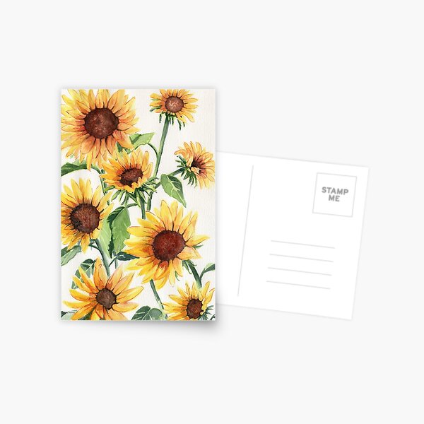 Sunflowers Postcard