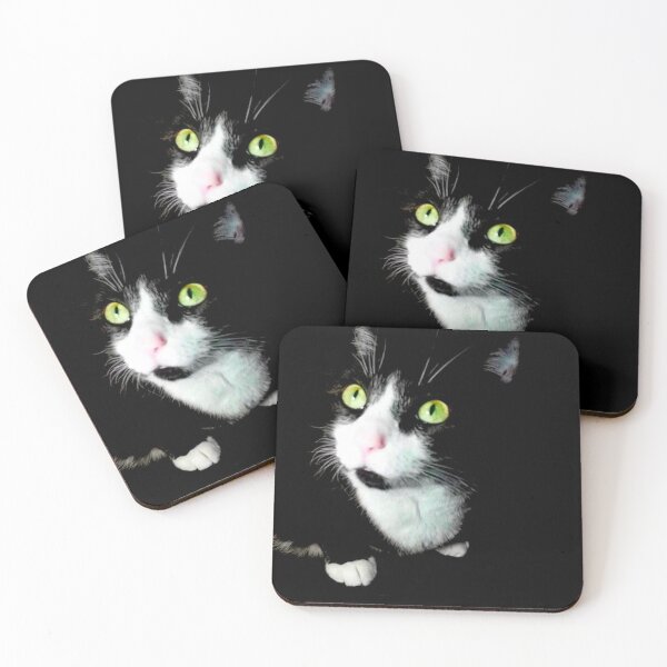 Item preview, Papa Sonny the Miracle Kitty designed and sold by Max Grimm.
