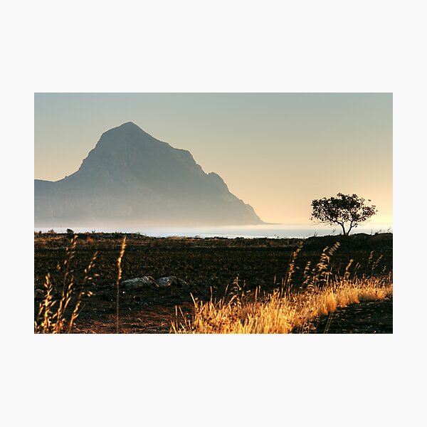 The golden track Photographic Print