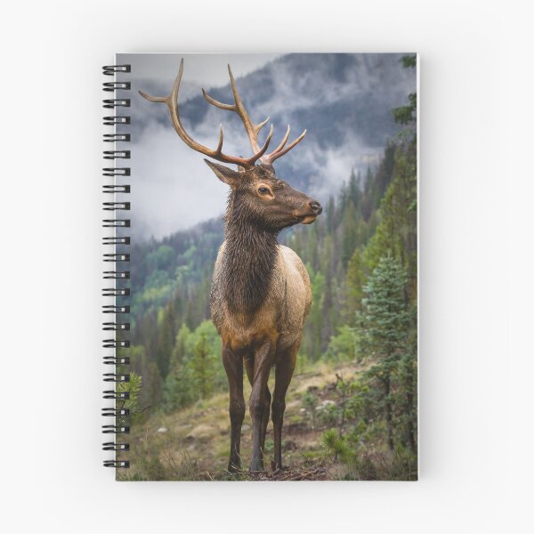 Item preview, Bull Elk in the Rocky Mountains of Colorado designed and sold by Gary Gray.