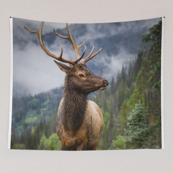 Item preview, Bull Elk in the Rocky Mountains of Colorado designed and sold by Gary Gray.