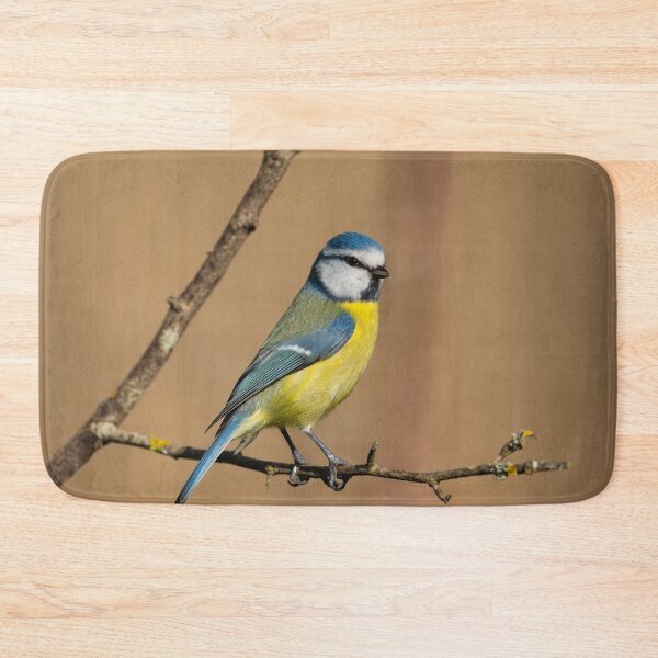 Item preview, Blue tit, Oasi WWF Lago di Alviano, Umbria, Italy designed and sold by AndrewJonesFoto.