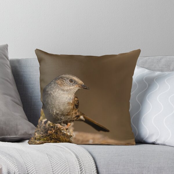 Item preview, Dunnock, Oasi WWF Lago di Alviano, Umbria, Italy designed and sold by AndrewJonesFoto.
