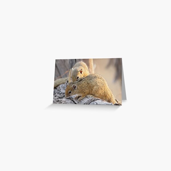 Nibble therapy Greeting Card