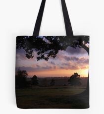 Last of the Forest Sun Tote Bag