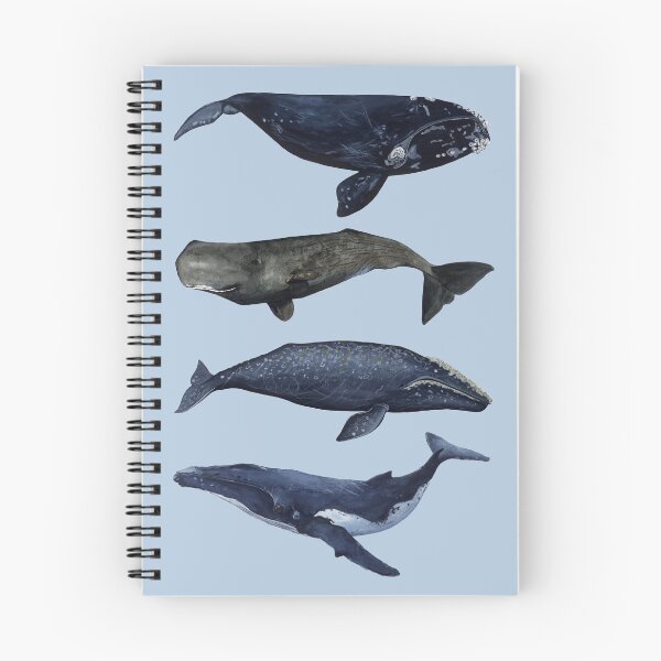 Item preview, CETACEANS II designed and sold by BEATRIZ ABAITUA.