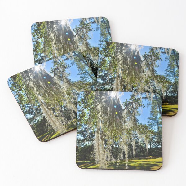 Item preview, Mossy Sunburst designed and sold by LisaWootenPhoto.