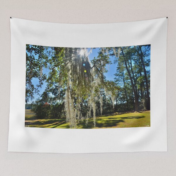 Item preview, Mossy Sunburst designed and sold by LisaWootenPhoto.