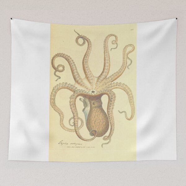 Item preview, Ol' Darby Squid designed and sold by Organic Creeps.