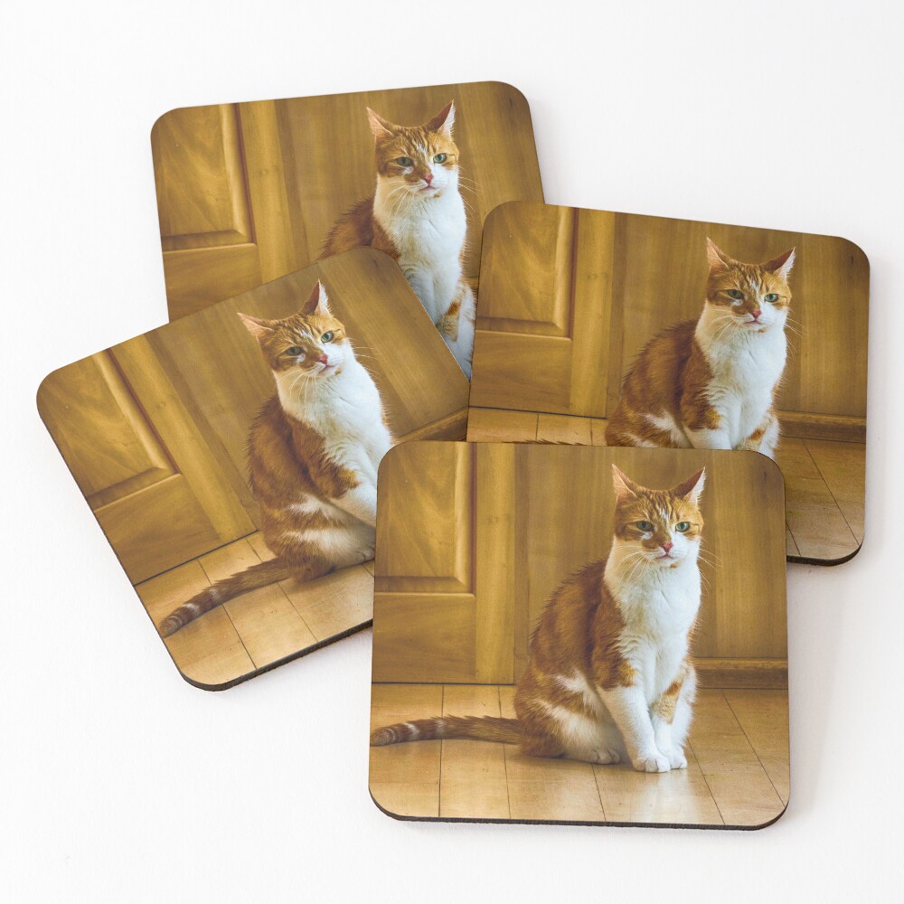 Item preview, Coasters (Set of 4) designed and sold by Ruthie33.