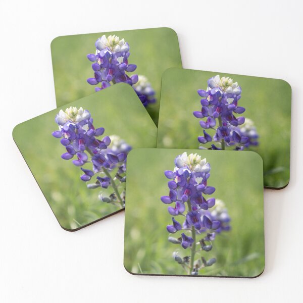 Item preview, Bluebonnet In Full Bloom in Central Texas designed and sold by tayburson.
