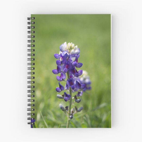 Item preview, Bluebonnet In Full Bloom in Central Texas designed and sold by tayburson.