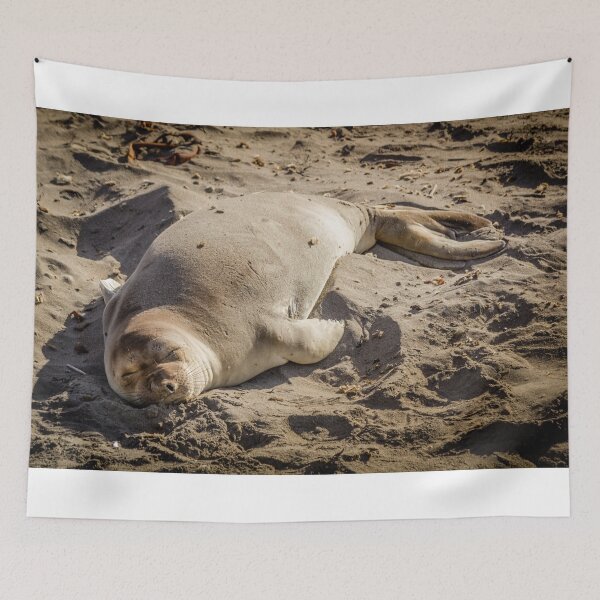 Item preview, Elephant Seal Sunning On Beach designed and sold by Robert Alsop.