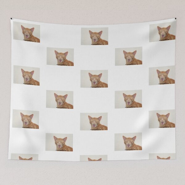 Item preview, You Gotta be Kitten Me! designed and sold by Mamalia.