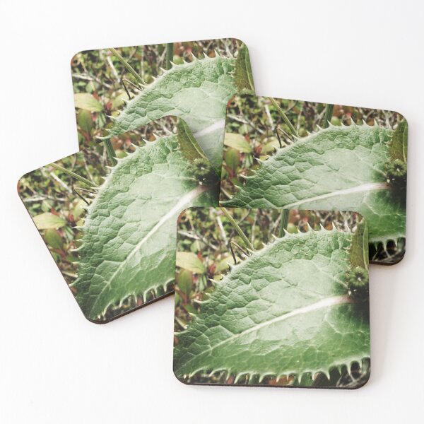 Item preview, A Dandelion Leaf Up Close And Personal designed and sold by Mark Polk.