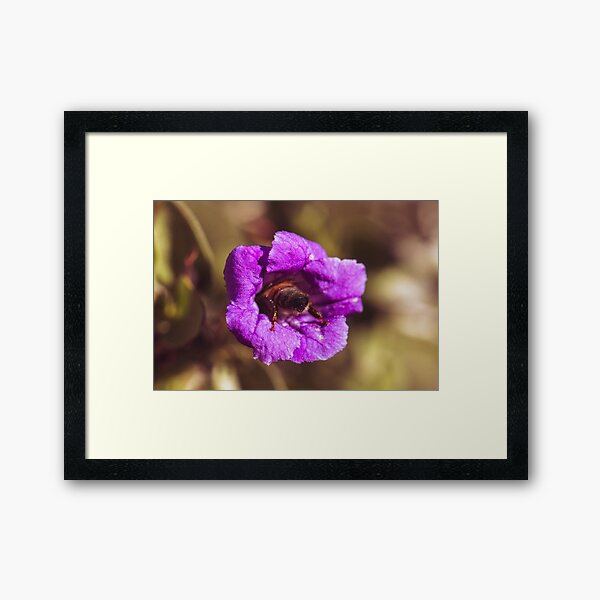 Bee Butt Framed Art Print