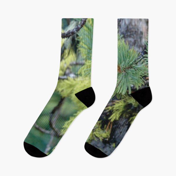 Item preview, Pine tree with moss designed and sold by Diane Petker.