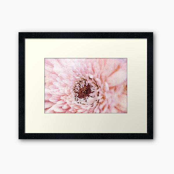 sweet... Framed Art Print